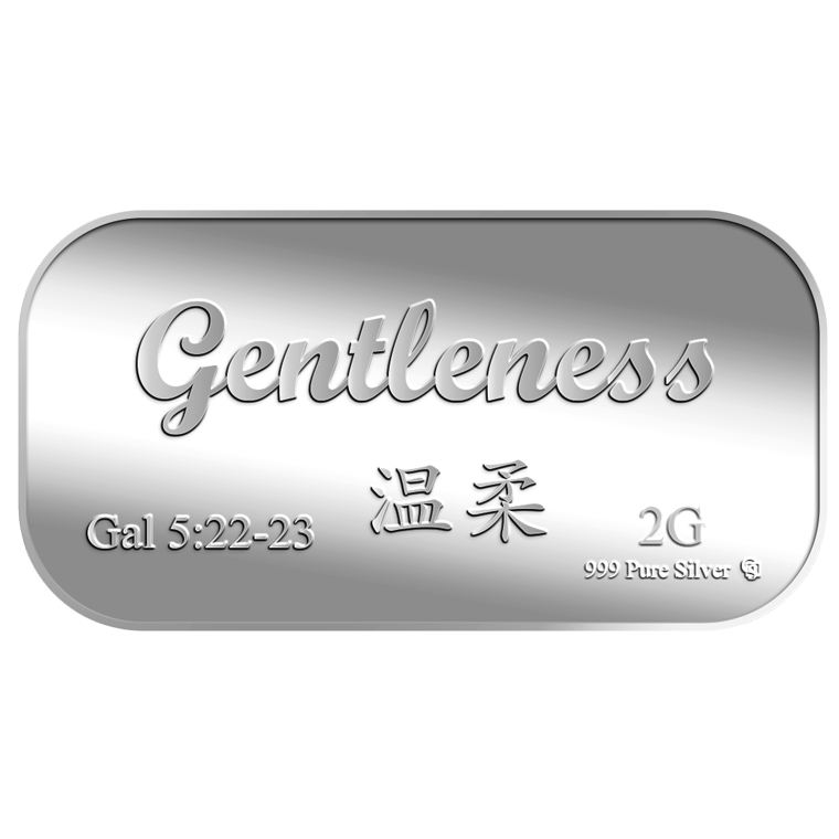 2g Gentleness 温柔 Silver Bar